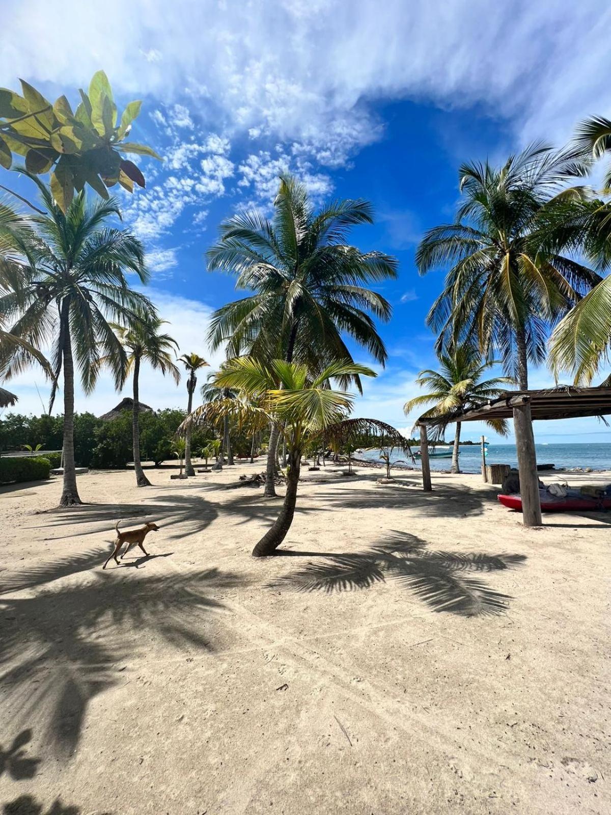 Hostel Beach House Rincón Eksteriør bilde